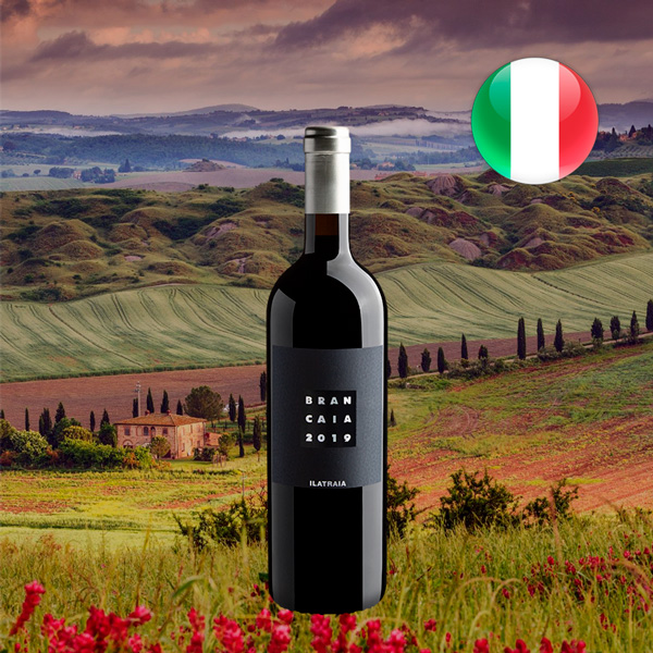 Brancaia Ilatraia Toscana IGT 2019 - Oferta