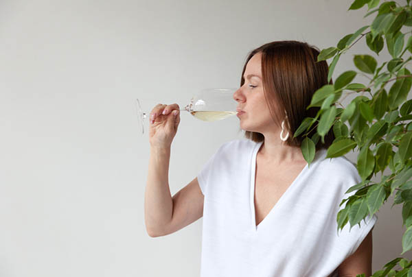 Domaine Tariquet Sauvignon Blanc Côtes de Gascogne IGP 2023 - Degustando