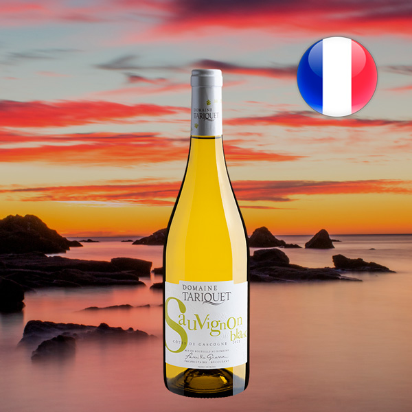Domaine Tariquet Sauvignon Blanc Côtes de Gascogne IGP 2023 - Oferta