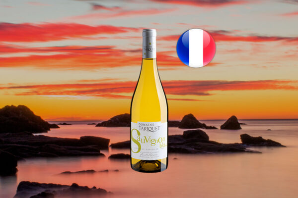 Domaine Tariquet Sauvignon Blanc Côtes de Gascogne IGP 2023 - Thumbnail