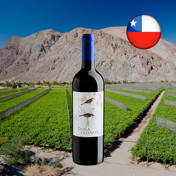 Doña Leonor Merlot Valle Central DO 2023 - Oferta