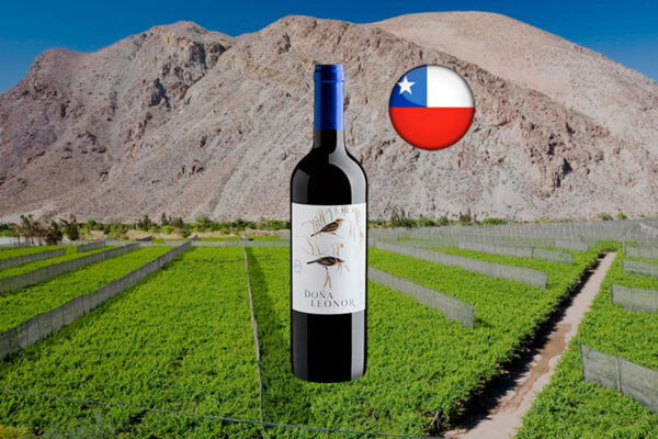 Doña Leonor Merlot Valle Central DO 2023 - Thumbnail