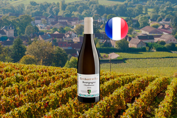 Guy Amiot Et Fils Bourgogne Chardonnay 2018 - Thumbnail