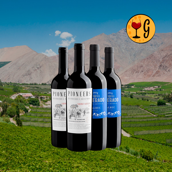 Kit 4 Vinhos Tintos Malbec e Cabernet – Qualidade Argentina e Chilena a Preço Imperdível - Oferta