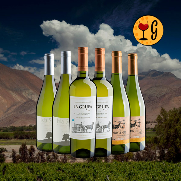 Kit 6 Chardonnays – Aventura Aromática da Argentina ao Chile por um Preço Imperdível - Oferta
