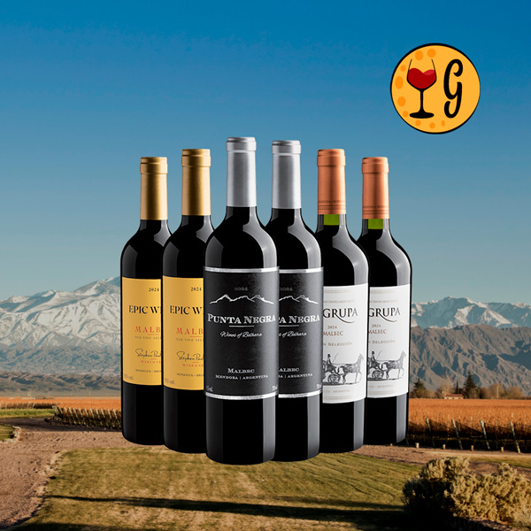 Kit 6 Malbecs Argentinos Imperdíveis - Oferta