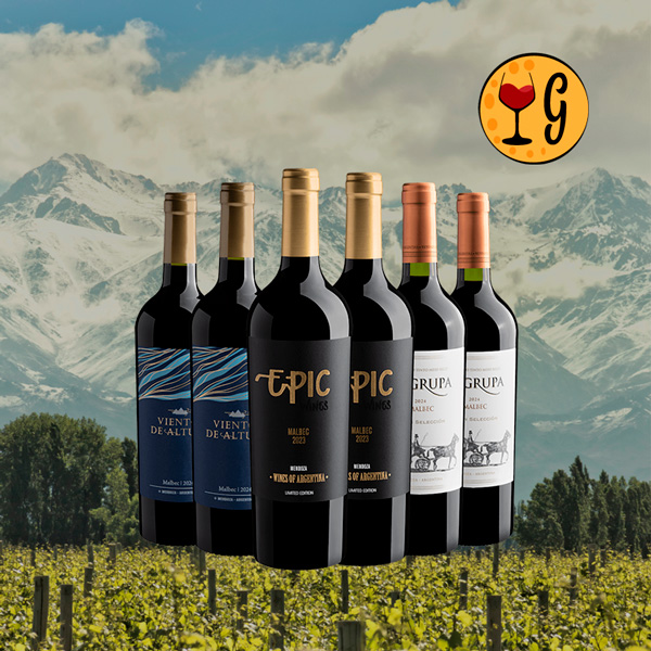 Kit 6 Malbecs Icônicos – Sexteto Argentino de Mendoza a Preço Especial - Oferta