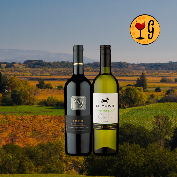 Kit Dois Vinhos Chilenos Irresistíveis – V9 Reserva Cabernet Sauvignon 2023 e El Chivo Sauvignon Blanc 2023 - Oferta