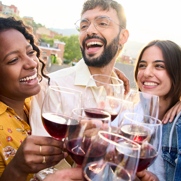 Kit Dupla Appassimento da Puglia – 2 Vinhos Italianos 95+ Pontos com Desconto Especial - Brindando