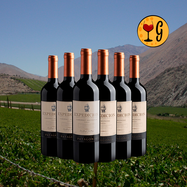 Kit Expedicion Cabernet Sauvignon e Carménère – A Dupla Imperdível de Vinhos Chilenos - Oferta