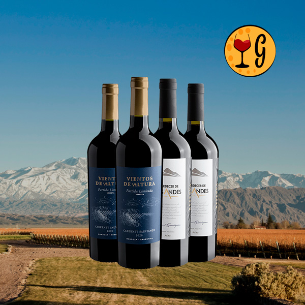 Kit Expressões do Cabernet – Duas Reservas de Cabernet Sauvignon em Carvalho a Preço Especial - Oferta