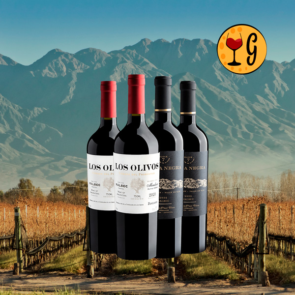 Kit Malbec Argentino Exclusivo – 2 Malbec de Mendoza, Duas Experiências Incomparáveis - Oferta
