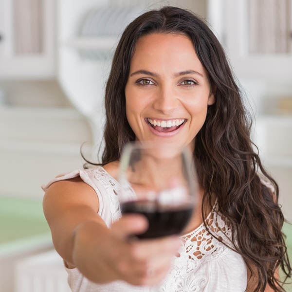 Kit Viña de Los Andes 3 Malbec e 3 Red Blend – Qualidade de Mendoza a Preço Imbatível - Brindando