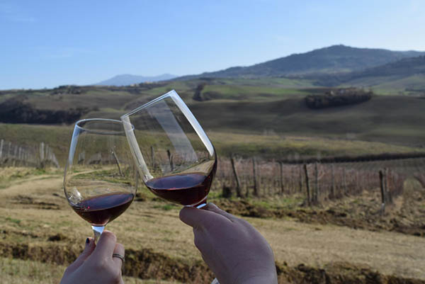 Kit Vinhos Primitivo di Manduria – Três Vinhos Italianos Excepcionais - Brindando