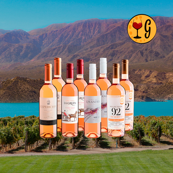 Kit Vinhos Rosé Quatro Rótulos Irresistíveis – 8 garrafas para momentos especiais - Oferta