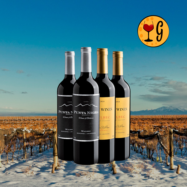 Kit de Vinhos Malbec Premiados com 2 Rótulos Exclusivos, 4 Garrafas de Pura Excelência - Oferta
