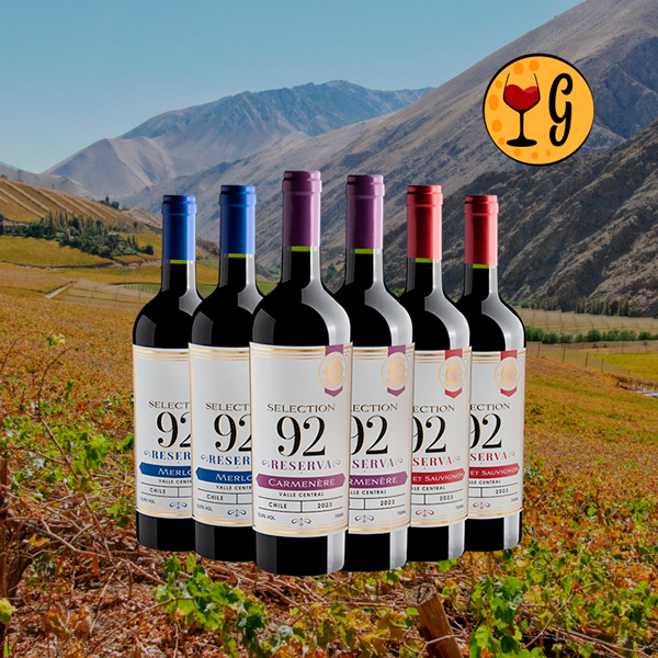 Kit de Vinhos Selection 92 - 3 Tintos de 92 Pontos para Encantar seu Paladar - Oferta