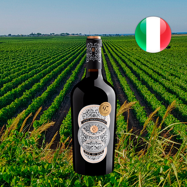 Lupo Meraviglia Due di Due Rosso di Puglia IGT 2022 - Oferta