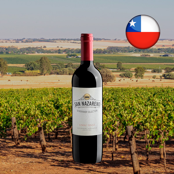 San Nazareno Winemaker Selection Vinho Tinto 2022 - Oferta
