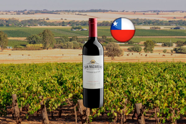 San Nazareno Winemaker Selection Vinho Tinto 2022 - Thumbnail