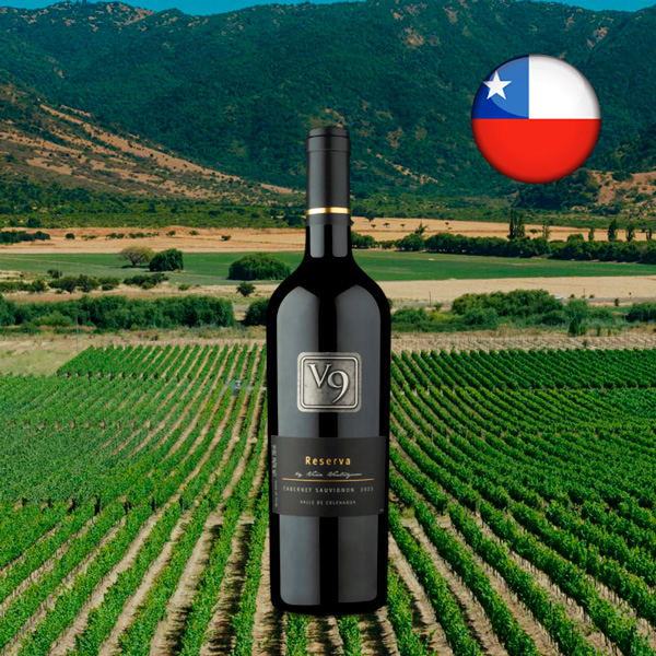 V9 Reserva Cabernet Sauvignon 2023 - Oferta