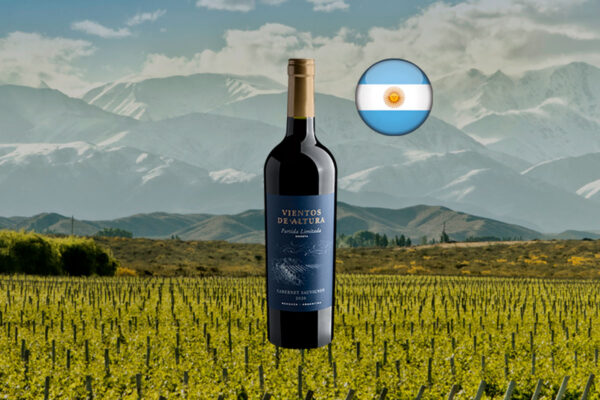 Vientos de Altura Partida Limitada Reserva Cabernet Sauvignon 2020 - Thumbnail