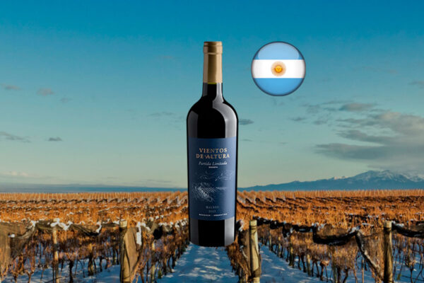 Vientos de Altura Partida Limitada Reserva Malbec 2021 - Thumbnail