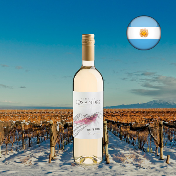 Viña de Los Andes White Blend 2024 - Oferta
