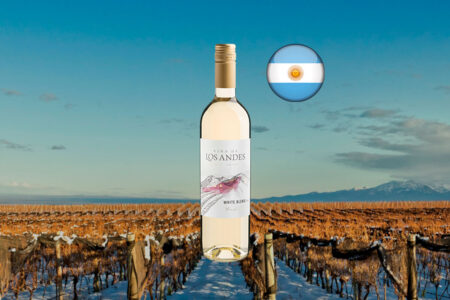 Viña de Los Andes White Blend 2024 - Thumbnail