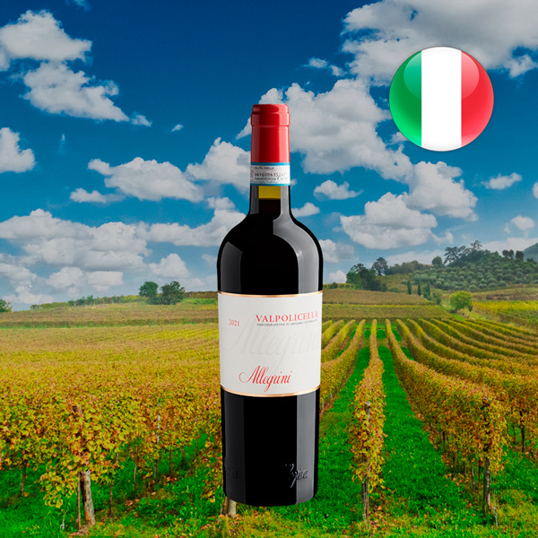 Allegrini Valpolicella DOC 2021 - Oferta