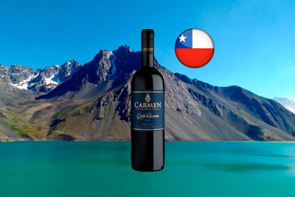 Carmen Gran Reserva Merlot 2018 - Thumbnail