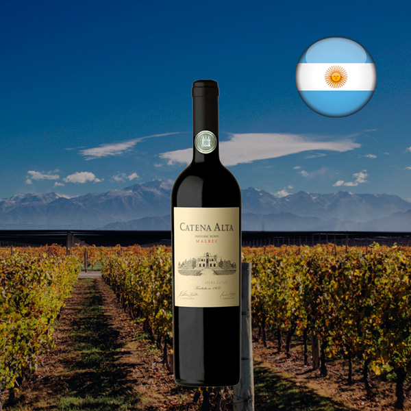 Catena Alta Malbec 2021 - Oferta