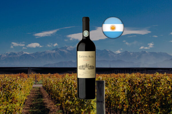 Catena Alta Malbec 2021 - Thumbnail
