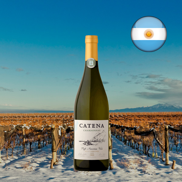 Catena Chardonnay 2023 - Oferta