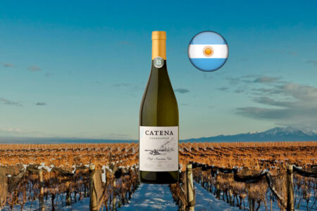 Catena Chardonnay 2023 - Thumbnail
