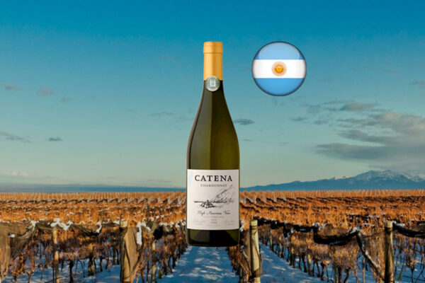 Catena Chardonnay 2023 - Thumbnail