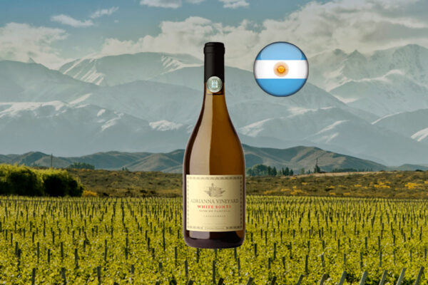 Catena Zapata Adrianna Chardonnay White Bones 2021 - Thumbnail