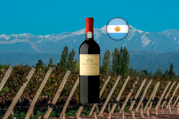 Catena Zapata Adrianna Vineyard River 2018 - Thumbnail