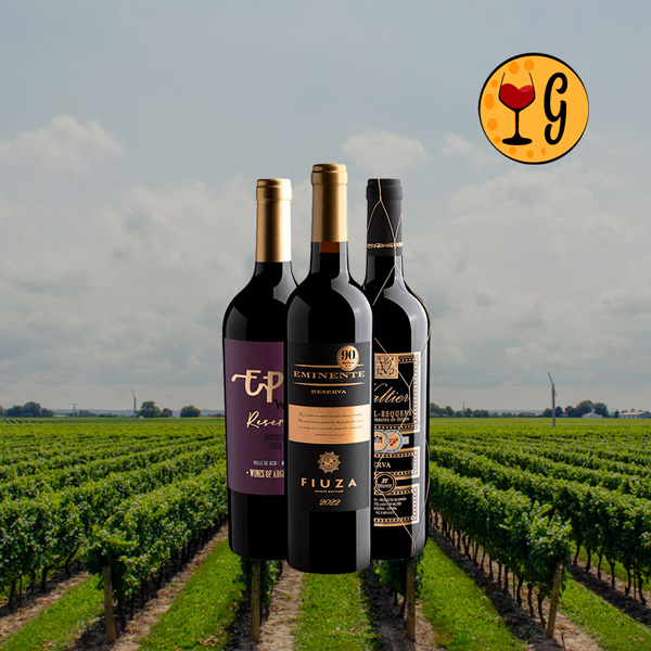 Kit 3 Reservas Best Sellers – Três Rótulos Consagrados por um Preço Imperdível - Oferta