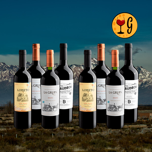 Kit 4 Tintos Argentinos para Churrasco – Celebre sem Gastar Muito - Oferta