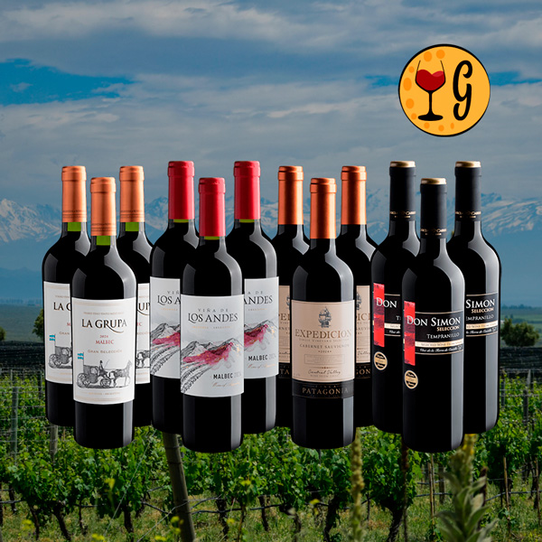 Kit 4 Vinhos Mais Vendidos – Rótulos Consagrados a Preço Imbatível - Oferta