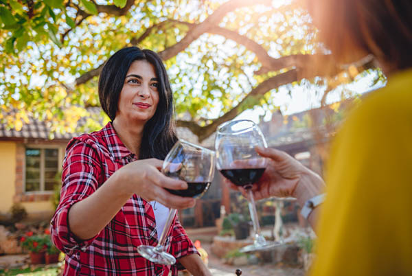 Kit 4 Vinhos com Medalhas de Ouro – 4 Rótulos Premiados por R$39,90 cada - Brindando