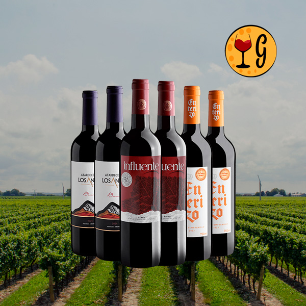 Kit 6 Vinhos Internacionais – Portugal, Espanha e Argentina a Preço Imperdível - Oferta