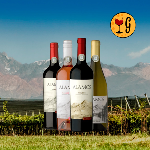 Kit Alamos para Degustar e Meditar – Quatro Vinhos Argentinos para Saborear com Tranquilidade e Reflexão - Oferta