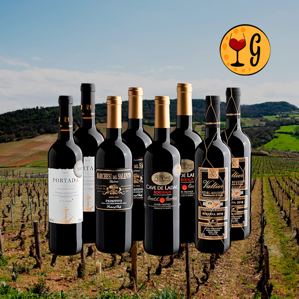 Kit Best Sellers Evino em Dobro – 8 Garrafas de Sucessos do Mundo do Vinho a Preço Imperdível - Oferta