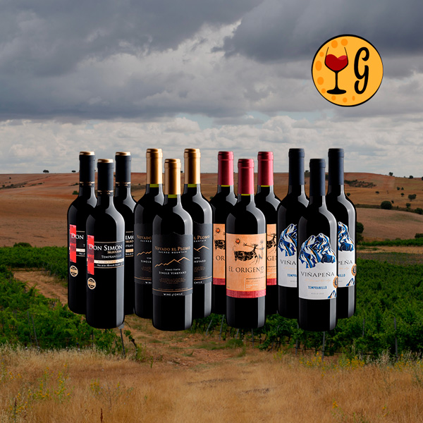 Kit Best Sellers em Dose Tripla – 4 Vinhos Campeões de Venda em Oferta Especial - Oferta