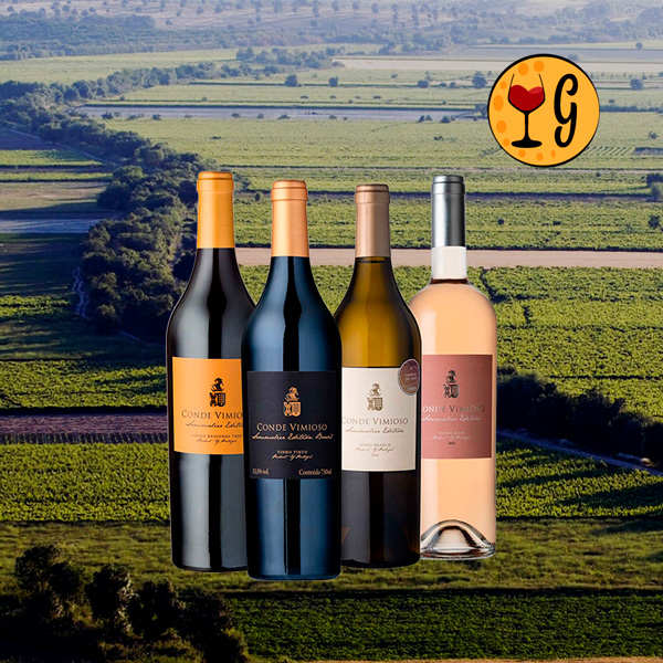 Kit Falua Sommelier Edition – 4 Vinhos Exclusivos do Tejo - Oferta