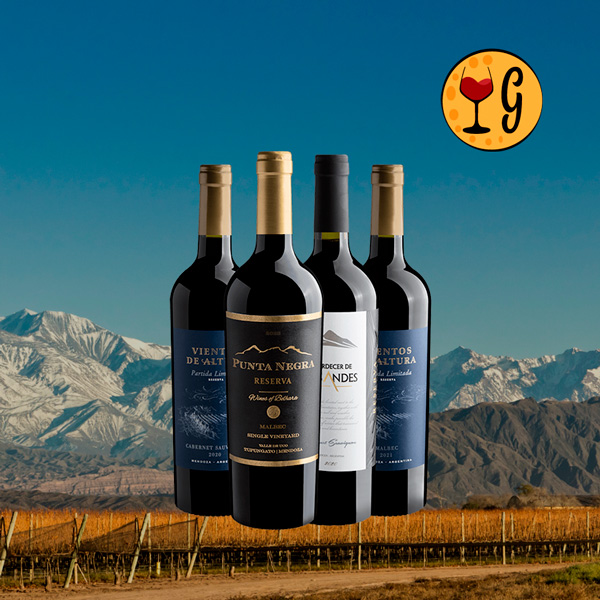 Kit Reservas do Novo Mundo – Cabernets Sauvignon e Malbecs Amadurecidos em Carvalho a Preço Especial - Oferta