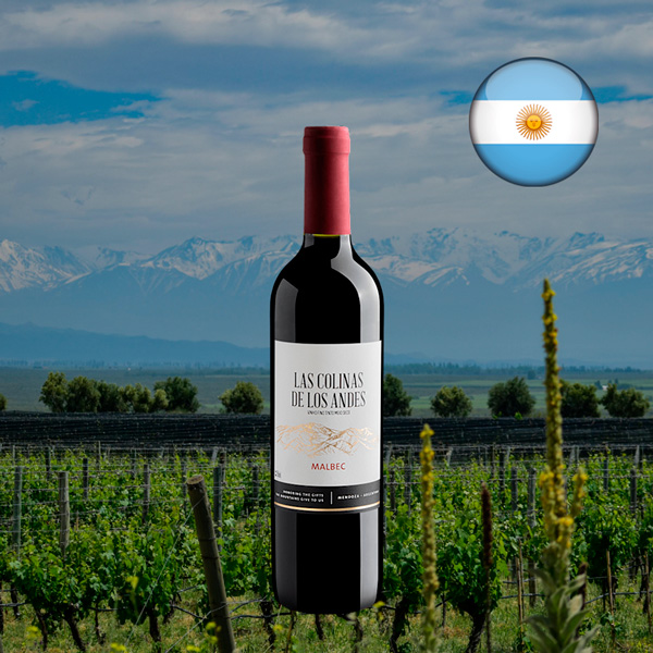 Las Colinas de Los Andes Malbec 2024 - Oferta
