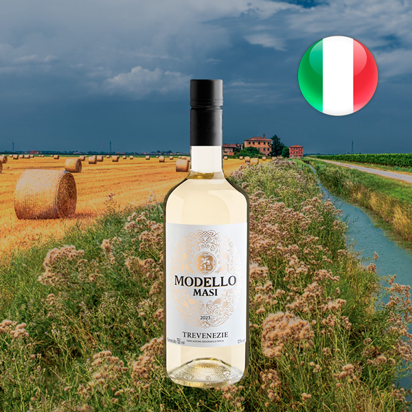 Masi Modello Bianco Trevenezie IGT 2023 - Oferta